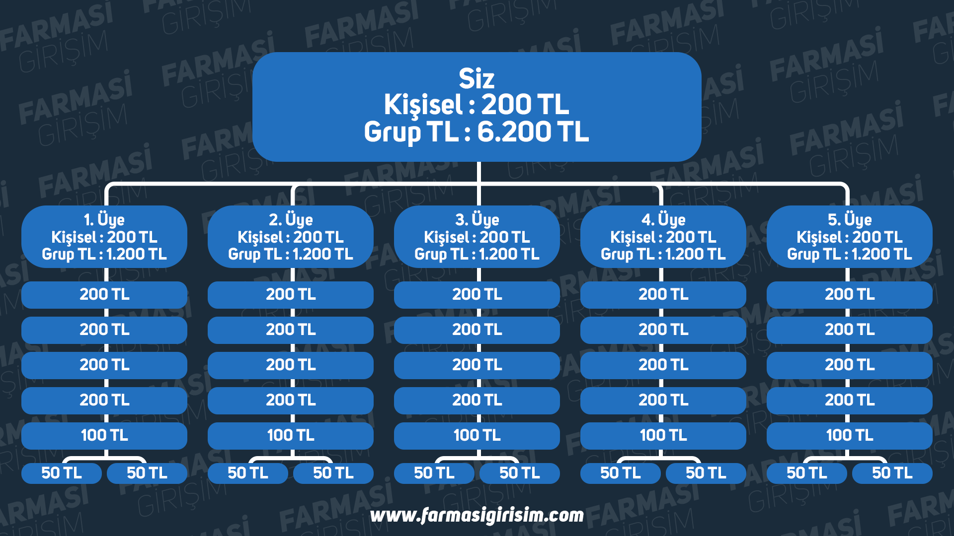 Farmasi Kazanç Planı